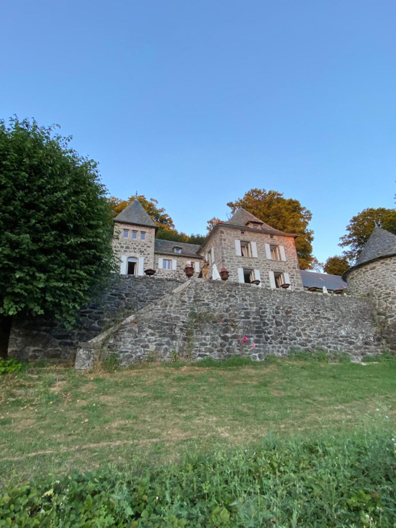 Château du Puech Curieres Exterior foto